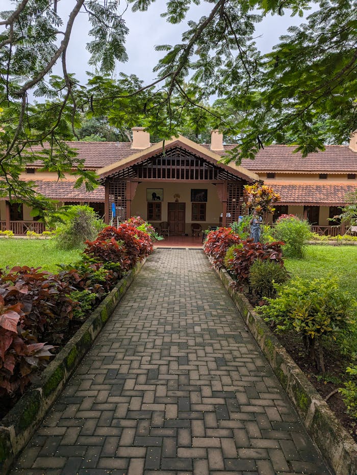 Free stock photo of bungalow, irish architecture